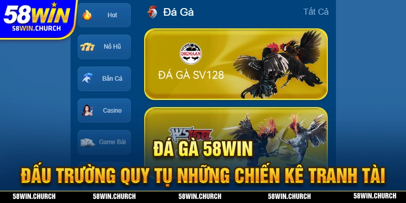 Đá gà 58WIN nơi tranh tài của những chiến kê top đầu